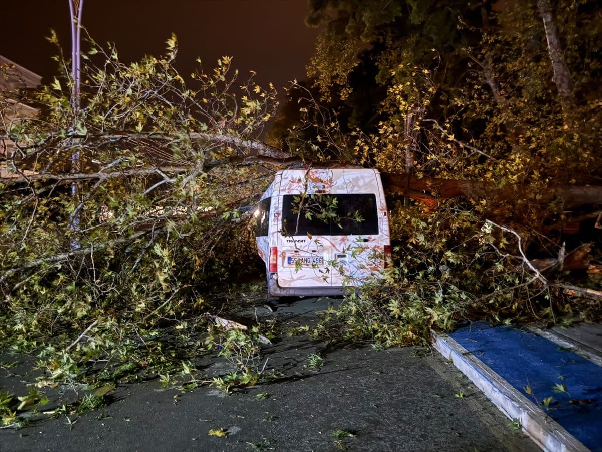 Samsun'da rüzgardan devrilen ağaç araca zarar verdi