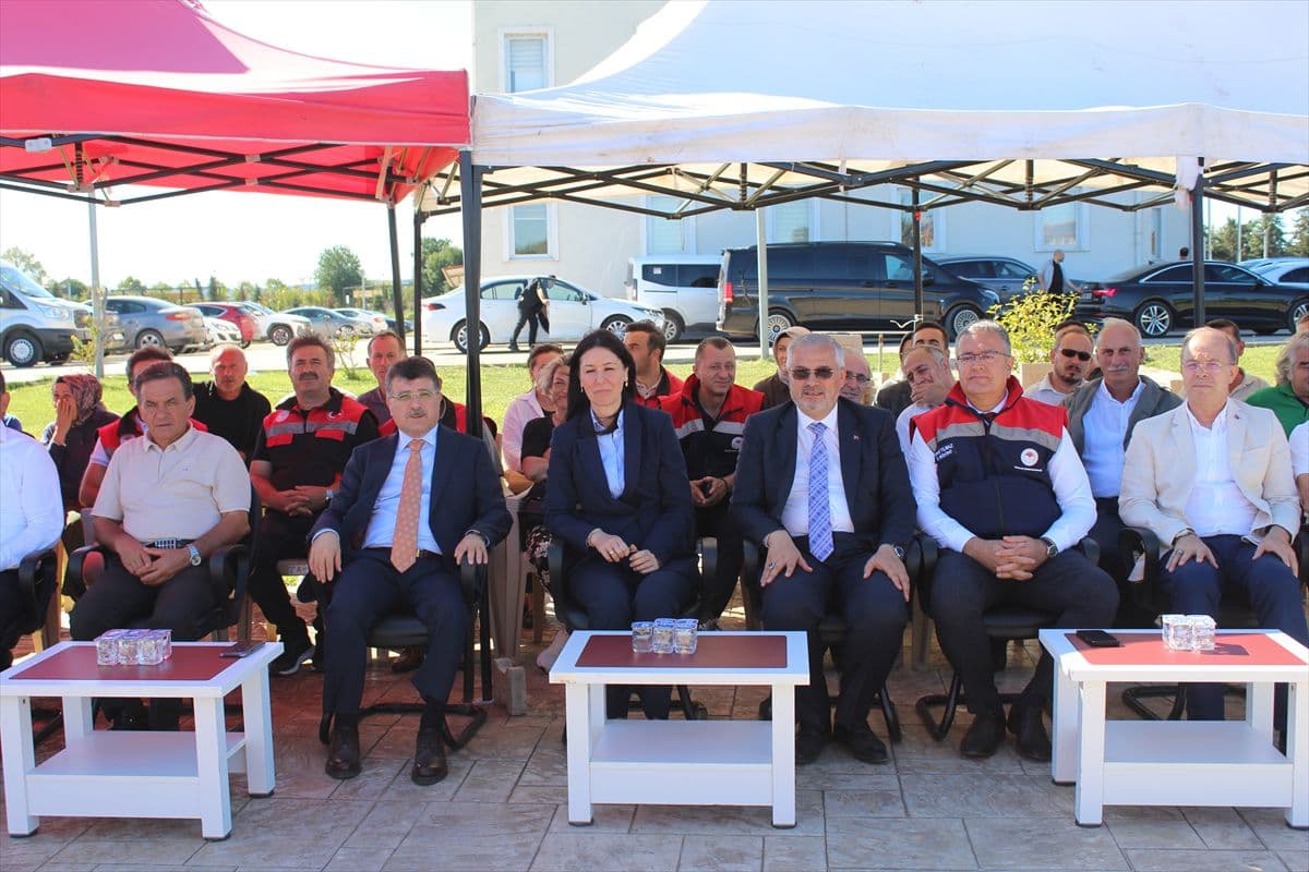Bafra Ovası'nda üreticilere 266 bin kışlık sebze fidesi dağıtıldı