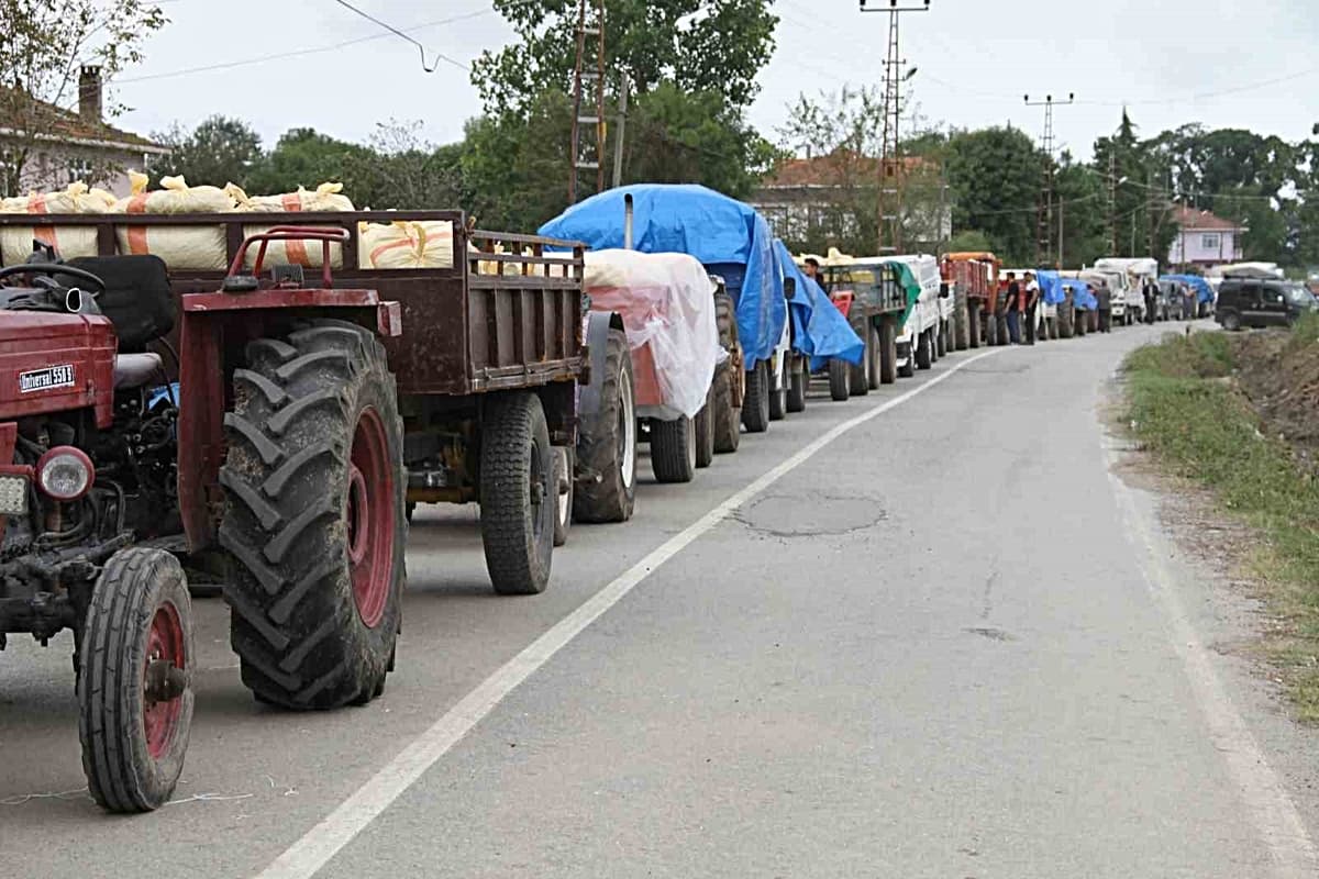 Fındık üreticisine uyarı: "Ürününüzü ayıklayın"