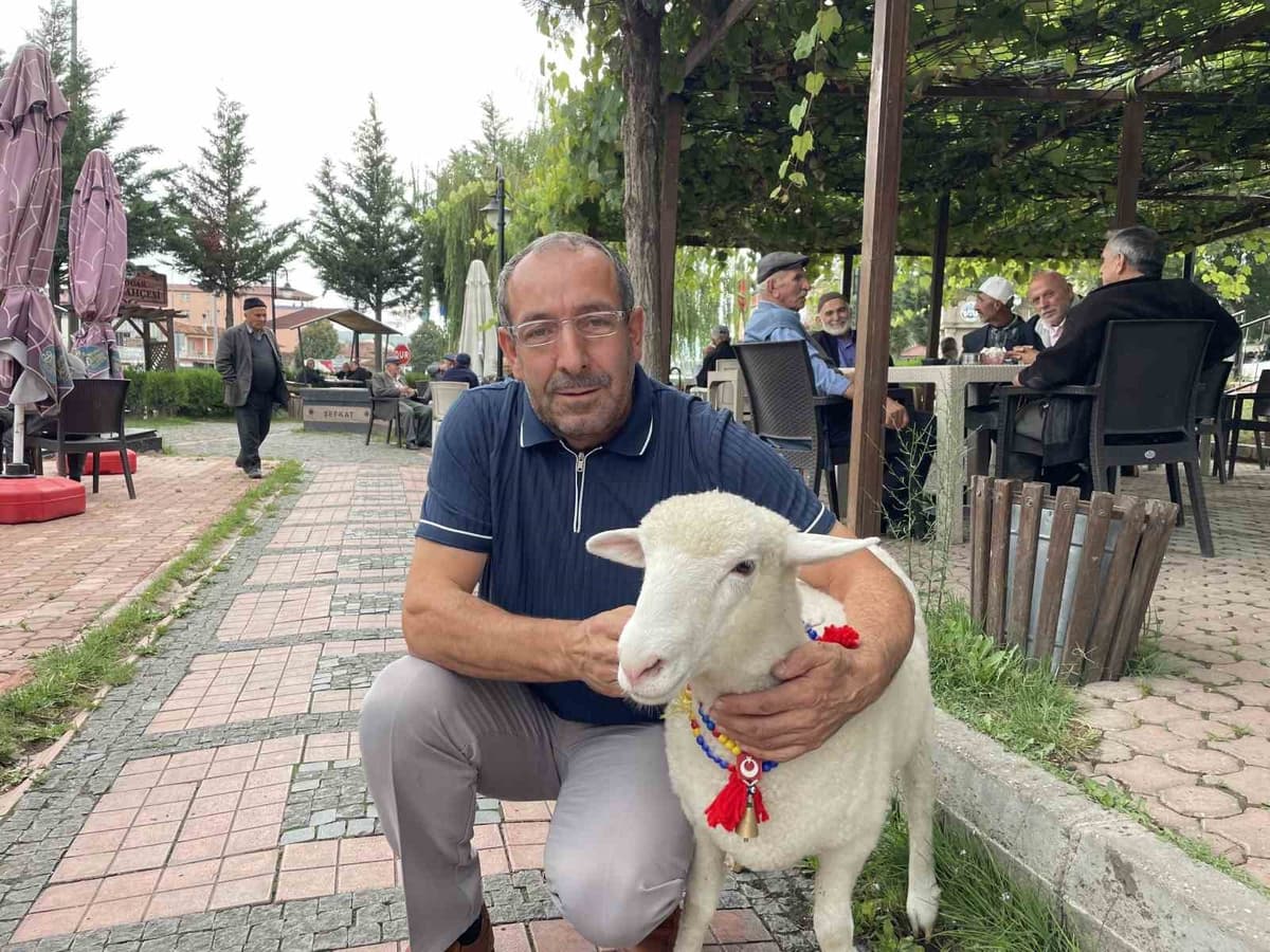 Samsun Kavak'ta Mecit Uzun'un kuzusu Tertip, halkın sevgisini kazandı