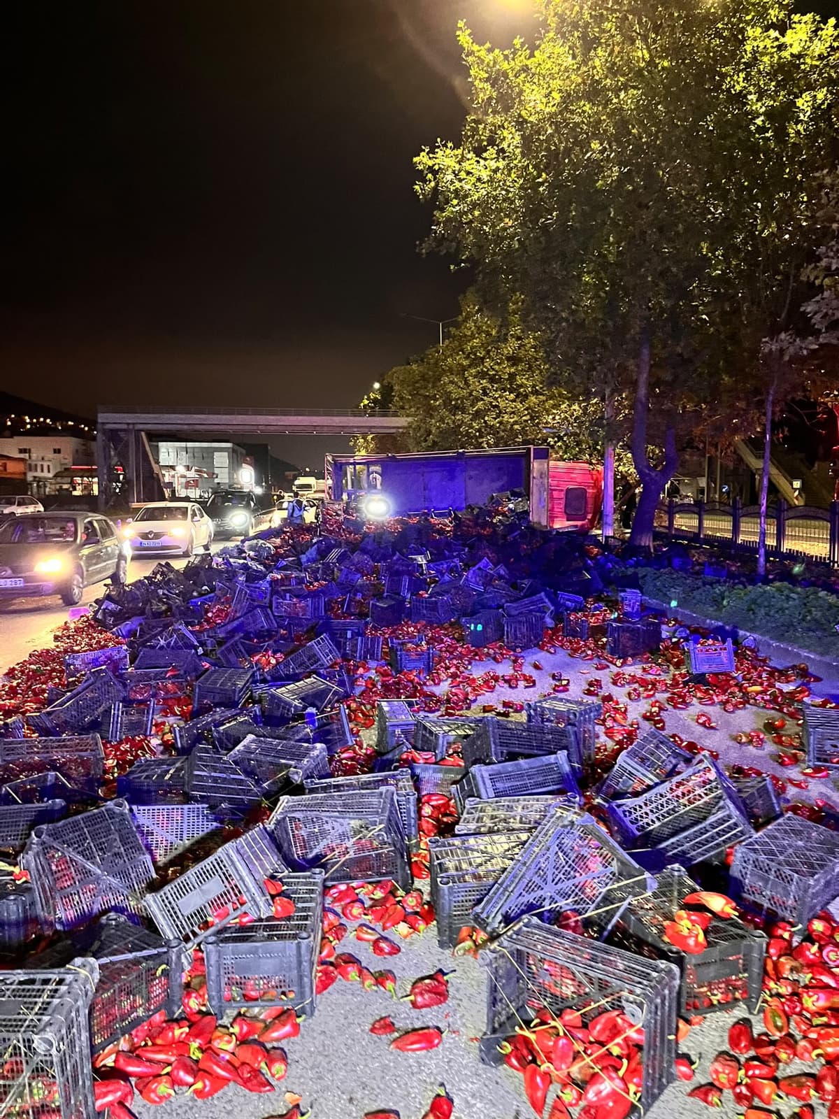 Samsun'un Tekkeköy ilçesinde biber yüklü kamyon devrildi, 2 kişi yaralandı