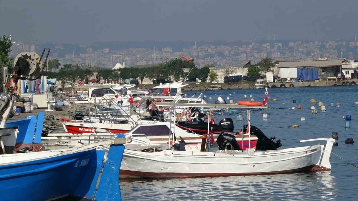 Birlik Başkanı Malkoç, palamut bolluğunda tüm palamutların tutulmasını istedi